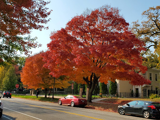 Park «Summit Overlook Park», reviews and photos, 418 Summit Ave, St Paul, MN 55102, USA