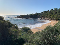 Photo de Capo di Feno II avec petite baie