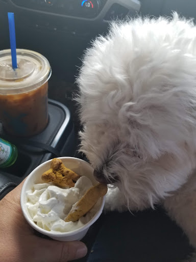 Coffee Shop «Dutch Bros Coffee», reviews and photos, 5980 AZ-69, Prescott Valley, AZ 86314, USA