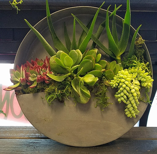 Florist «Enchanted Florist & Gifts», reviews and photos, 9140 Alcosta Blvd B, San Ramon, CA 94583, USA