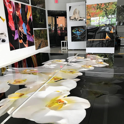 Photo Lab «Art Plex Photo / Alex Kay gallery», reviews and photos, 245 NE 183rd St, North Miami Beach, FL 33179, USA
