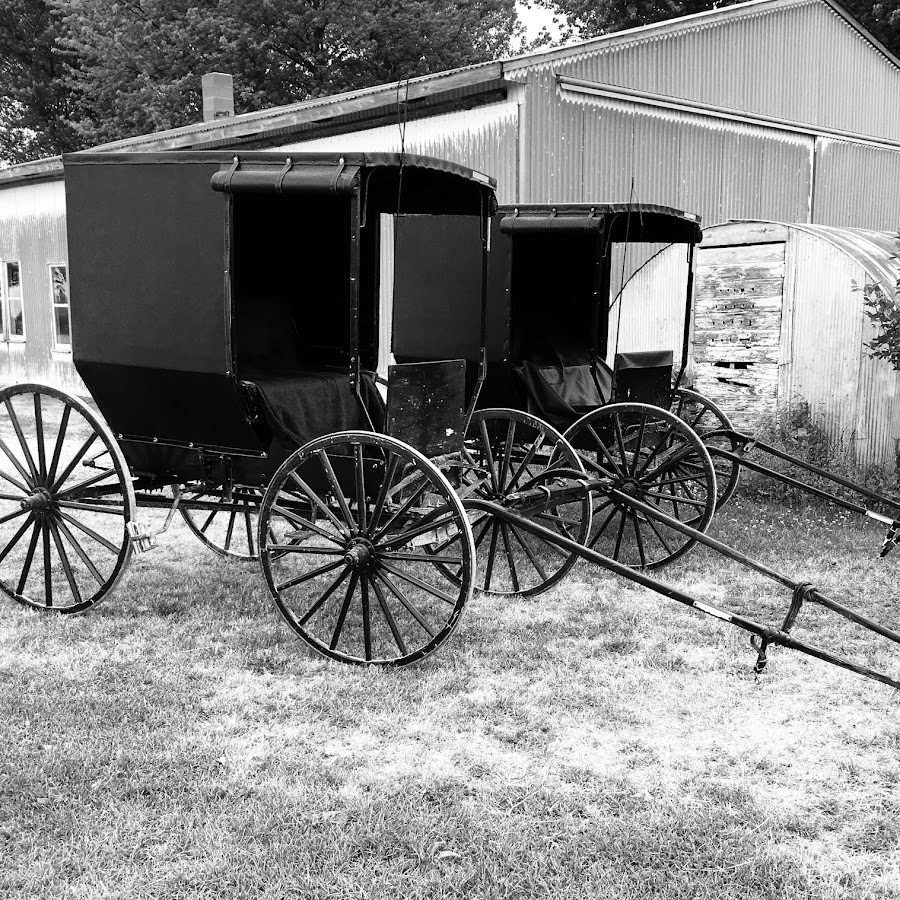 Bluffscape Amish Tours
