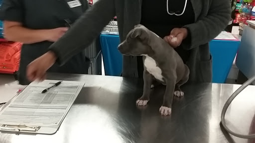 Pet Supply Store «Petco Animal Supplies», reviews and photos, 1014 Shoppes At Midway Dr, Knightdale, NC 27545, USA