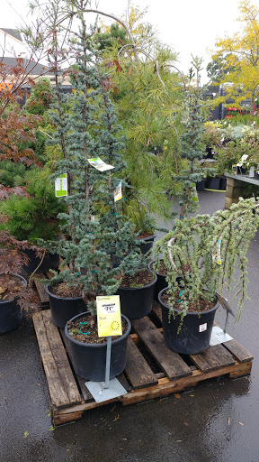 Home Improvement Store «The Home Depot», reviews and photos, 1255 Ten Rod Rd, North Kingstown, RI 02852, USA