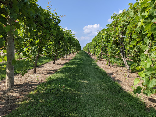 Winery «Snus Hill Vineyard & Winery», reviews and photos, 2183 320th St, Madrid, IA 50156, USA