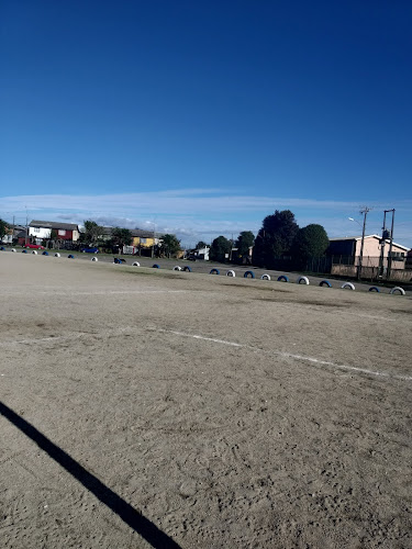 Cancha N°1 "Victoria de Chile" - Campo de fútbol