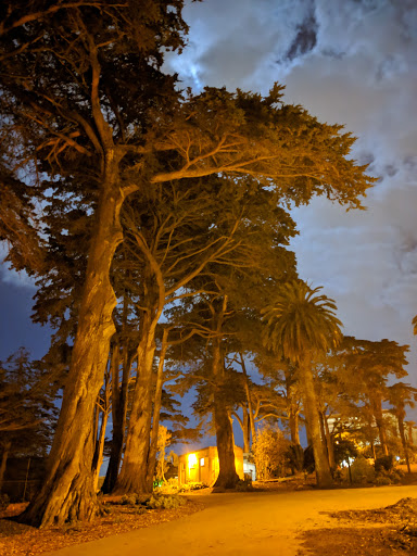 Historical Landmark «Painted Ladies», reviews and photos, Steiner St, San Francisco, CA 94117, USA