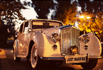 Alpha Prosperity Events - Photo 3 - Car repair in , Pearland