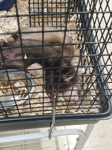 Pet Store «Fins Feathers Paws & Claws», reviews and photos, 436 Main St, Harleysville, PA 19438, USA