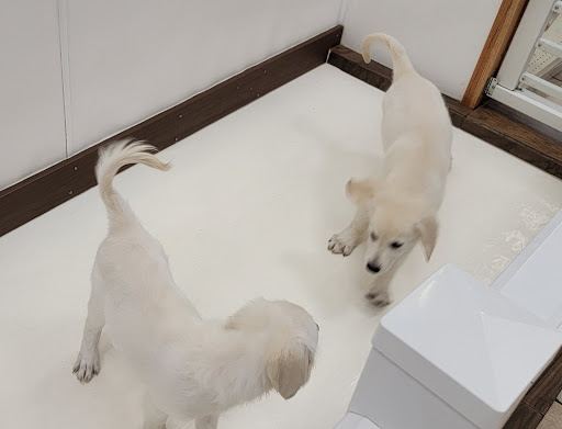 Pet Supply Store «Pet City», reviews and photos, 1710 Briargate Blvd, Colorado Springs, CO 80920, USA