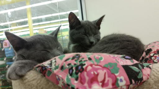 Pet Supply Store «Pet Supplies Plus», reviews and photos, 311 Sagamore Pkwy N, Lafayette, IN 47904, USA