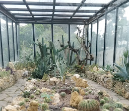 Mexico Garden photo