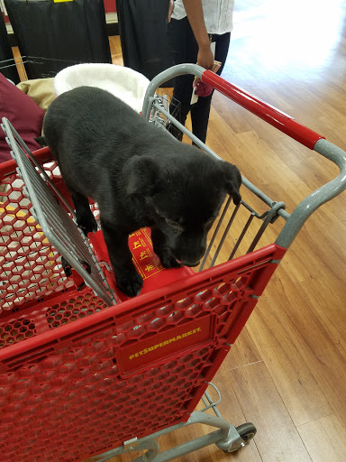 Pet Supply Store «Pet Supermarket», reviews and photos, 3316 Battleground Ave, Greensboro, NC 27410, USA