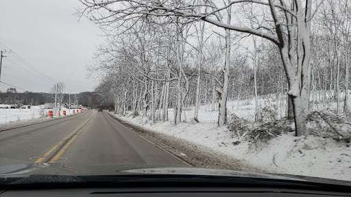 Nature Preserve «Brunner Family Forest Preserve», reviews and photos, 18N681 State Rte 31, Carpentersville, IL 60110, USA