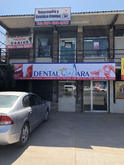 Dental Jara - Dentista - Playas de Rosarito - Tijuana