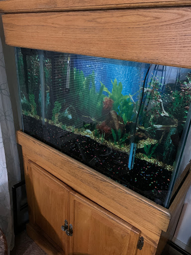 Pet Supply Store «Petco Animal Supplies», reviews and photos, 2255 East Ridge Road, Irondequoit, NY 14622, USA