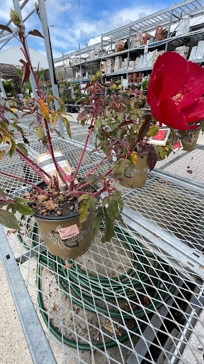 Home Improvement Store «The Home Depot», reviews and photos, 3051 E Main St, Mohegan Lake, NY 10547, USA