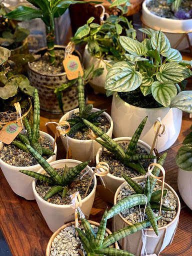 Florist «Blossoms Flower Shop», reviews and photos, 147 E Sailer Dr, San Mateo, CA 94403, USA