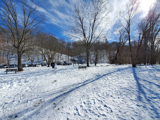 Recreation Center «Go Ape Zip Line & Treetop Adventure - Creve Coeur Park», reviews and photos, 13219 Streetcar Dr, Maryland Heights, MO 63043, USA