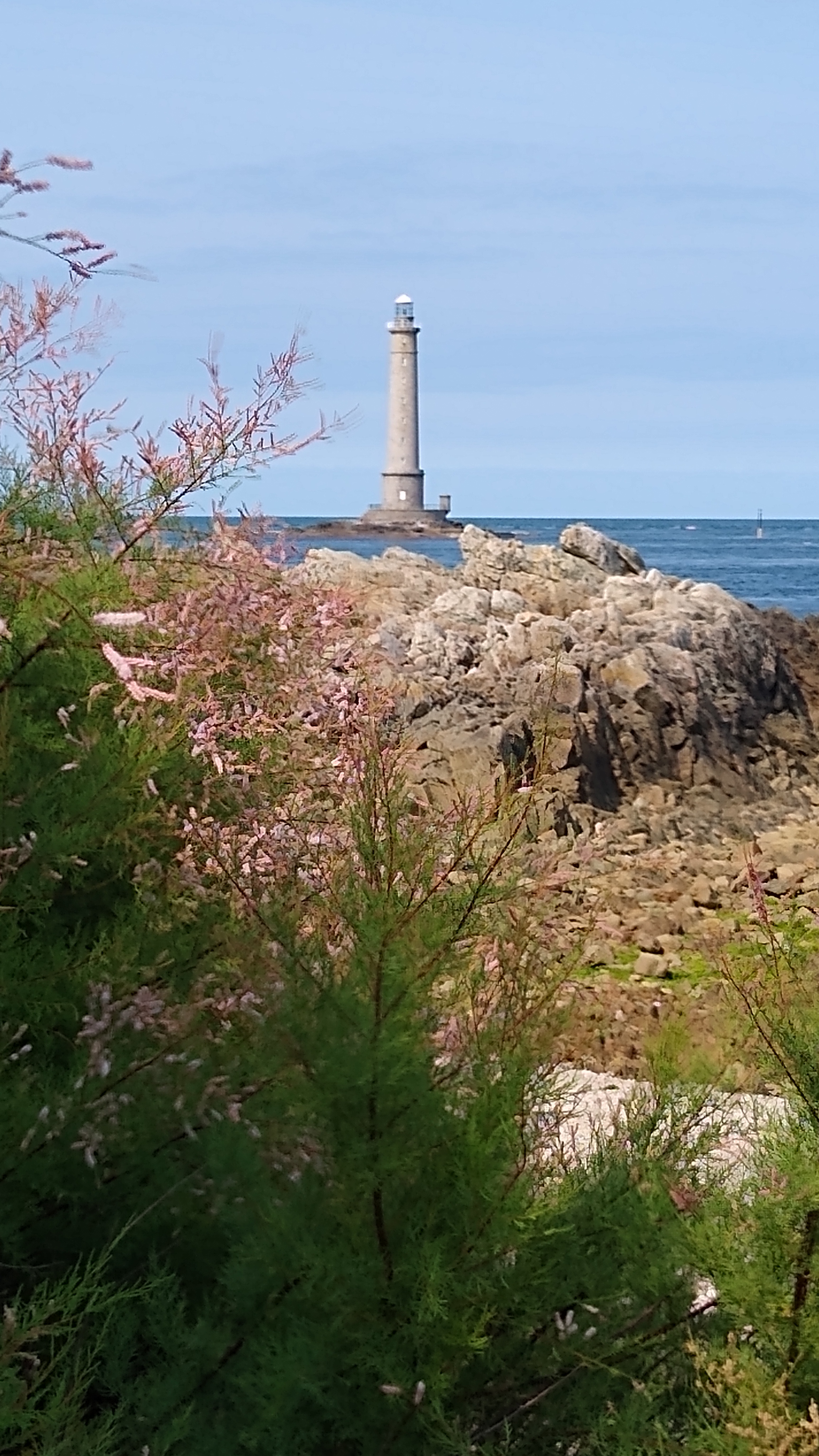 Photo n° 3 de l'avis de Beaugiraud.r fait le 14/09/2020 à 12:46