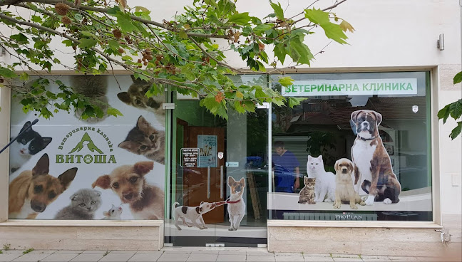 Ветеринарна клиника Витоша - София