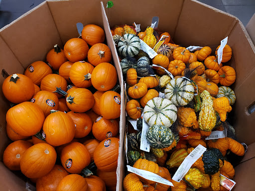 Department Store «Walmart Supercenter», reviews and photos, 303 Fallston Blvd, Fallston, MD 21047, USA