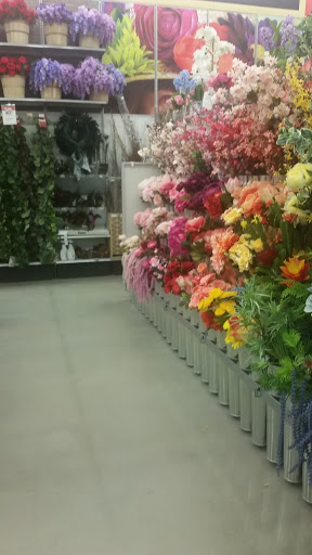 Craft Store «Michaels», reviews and photos, 12626 Capital Blvd, Wake Forest, NC 27587, USA