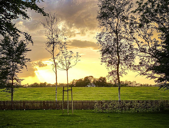 Photos du propriétaire Ferienwohnung Appartementhaus-Wattenmeer 27639 Wurster Nordseeküste