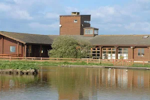 Wexford Wildfowl Reserve image