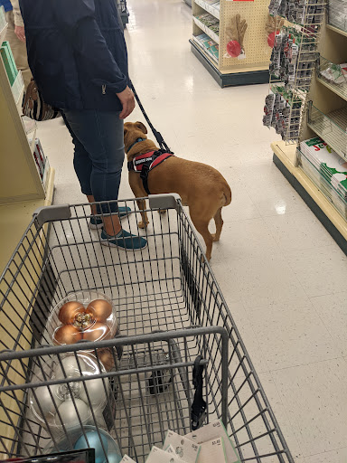 Craft Store «Hobby Lobby», reviews and photos, 6007 Wade Hampton Blvd, Taylors, SC 29687, USA