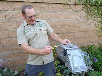 Salt Lake City Rodent Exterminator - Photo 8 - Car repair in Salt Lake City, UT, Salt Lake City