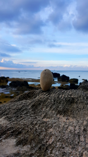 Top 20 cửa hàng akemi Huyện Lý Sơn Quảng Ngãi 2022