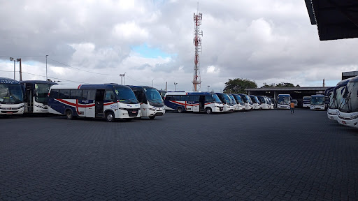 Logo da empresa - Universo Transportes