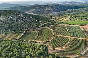 Tzora Vineyards image