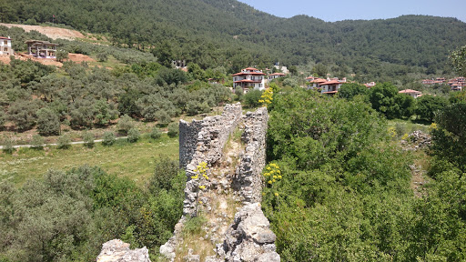 Ruins Of Castle