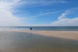 Smiltyne Dog Beach image