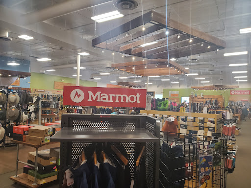 Outdoor Sports Store «Summit Hut», reviews and photos, 7745 N Oracle Rd, Oro Valley, AZ 85704, USA