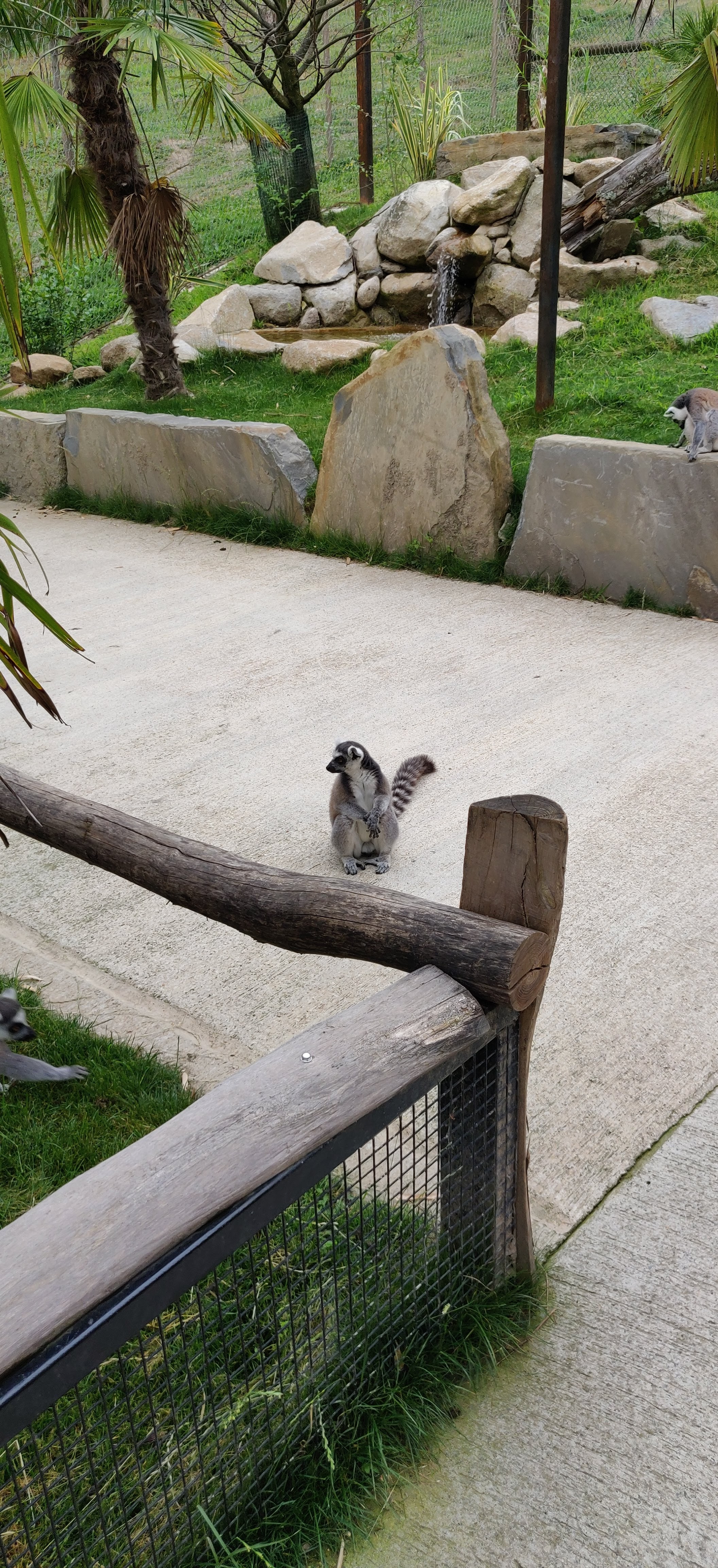 Photo n° 38 de l'avis de Frédéric.o fait le 15/11/2022 à 09:50