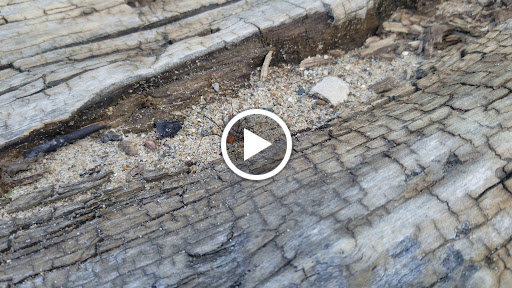 Park «Fort Gratiot County Park», reviews and photos, 3325 Metcalf Rd, Fort Gratiot Twp, MI 48059, USA