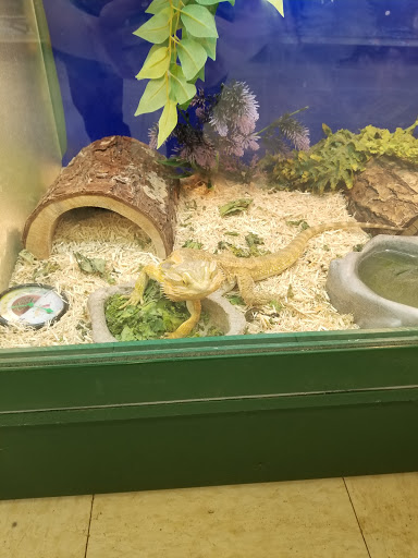 Pet Supply Store «Pet Supplies Plus», reviews and photos, 7315 Mentor Ave, Mentor, OH 44060, USA