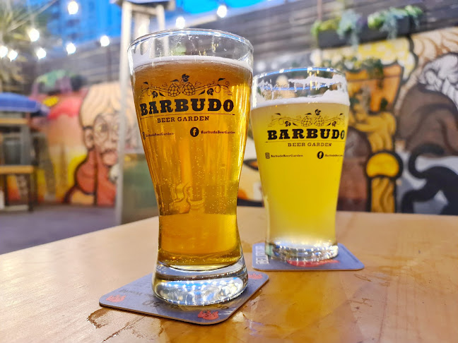 Barbudo Beer Garden - Ñuñoa