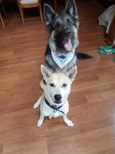 Pet Supply Store «Petco Animal Supplies», reviews and photos, 2823 County Home Rd, Goshen, IN 46526, USA