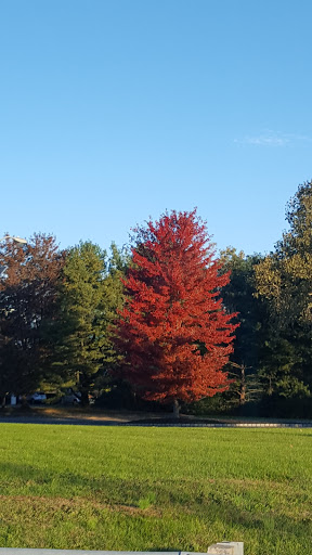 Department Store «Target», reviews and photos, 632 US-46, Fairfield, NJ 07004, USA