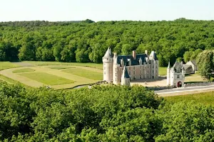 Château de Montpoupon image
