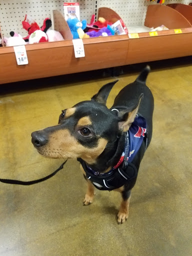 Pet Supply Store «PetSmart», reviews and photos, 573 N McKinley St, Corona, CA 92879, USA