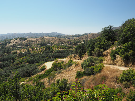 Fern Dell Nature Trail