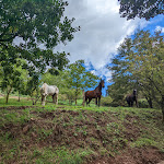 Photo n°5 de l'avis de Jochen.� fait le 13/03/2023 à 18:57 sur le  Agriturismo Cornacchino Viaggi e Vacanze a Cavallo e non solo à Castell'Azzara