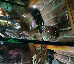 Paraiso Colonial photo