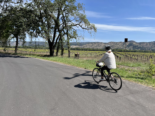 Bicycle Rental Service «Napa Valley Bike Tours & Rentals», reviews and photos, 6500 Washington St, Yountville, CA 94599, USA