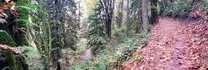 Evans Creek Preserve - Upper Parking Lot - photo 26